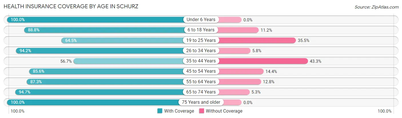 Health Insurance Coverage by Age in Schurz