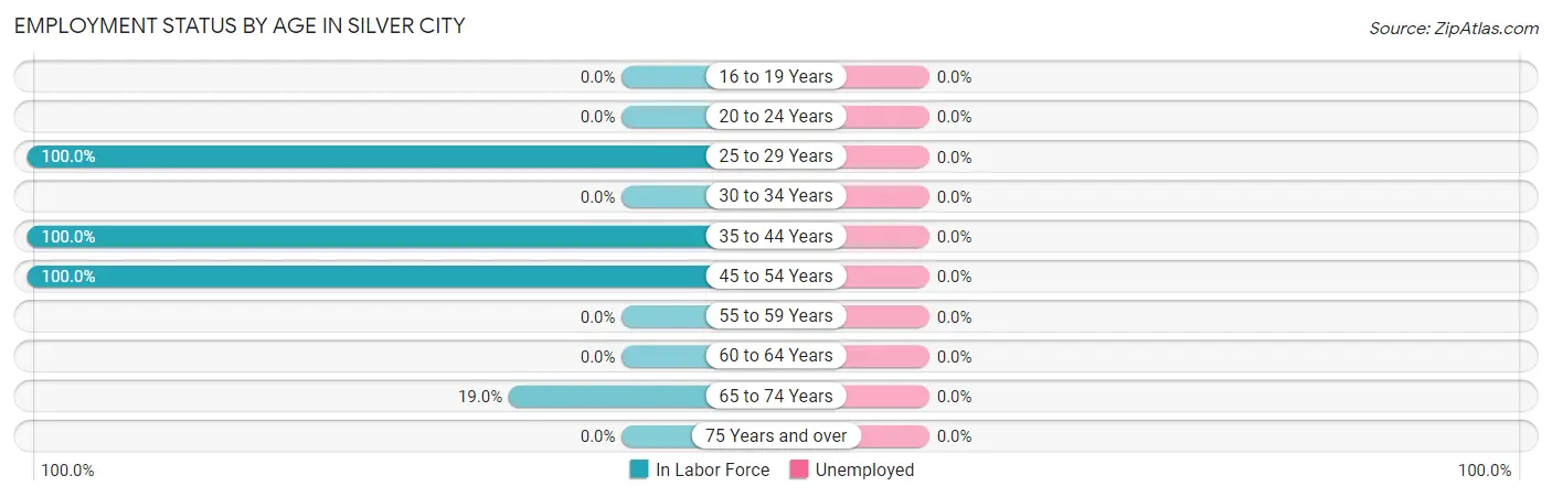 Employment Status by Age in Silver City