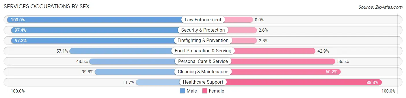 Services Occupations by Sex in Summerlin South