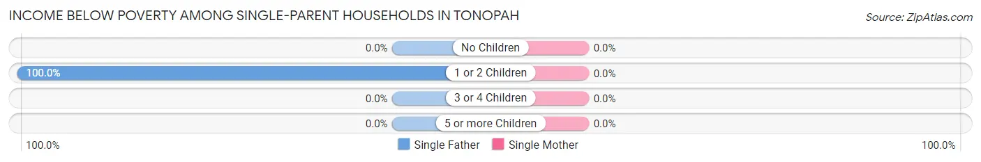Income Below Poverty Among Single-Parent Households in Tonopah