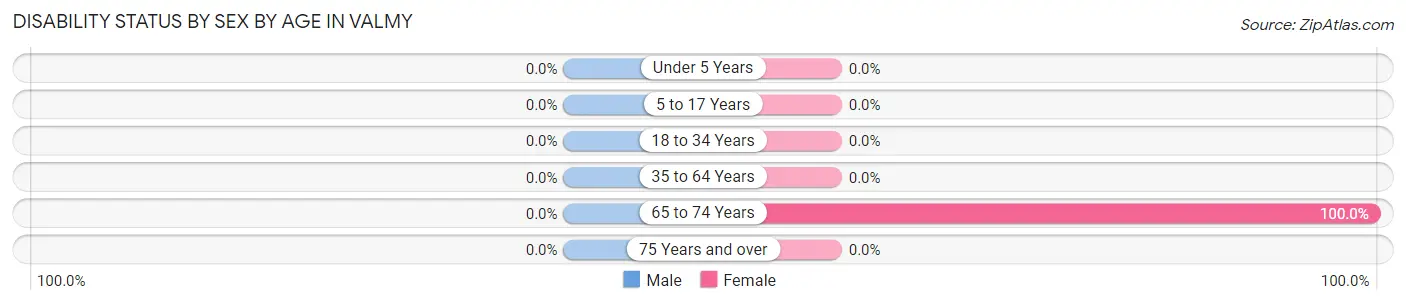 Disability Status by Sex by Age in Valmy