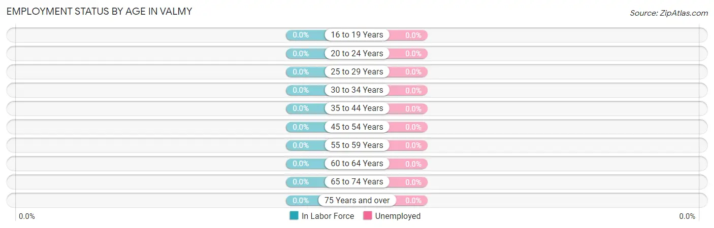 Employment Status by Age in Valmy