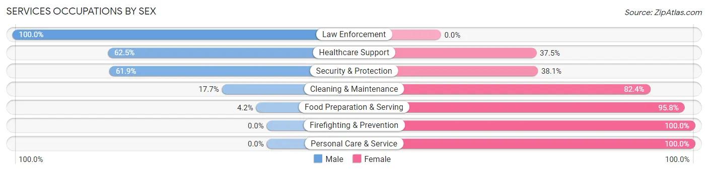 Services Occupations by Sex in Akron