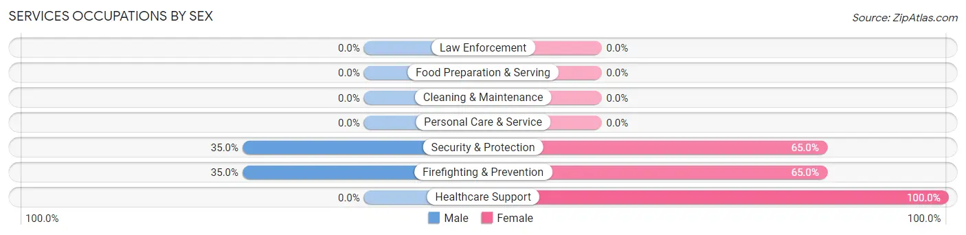 Services Occupations by Sex in Altmar