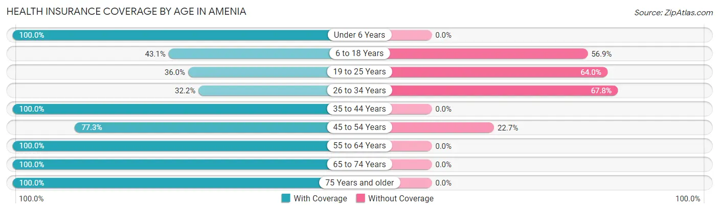 Health Insurance Coverage by Age in Amenia