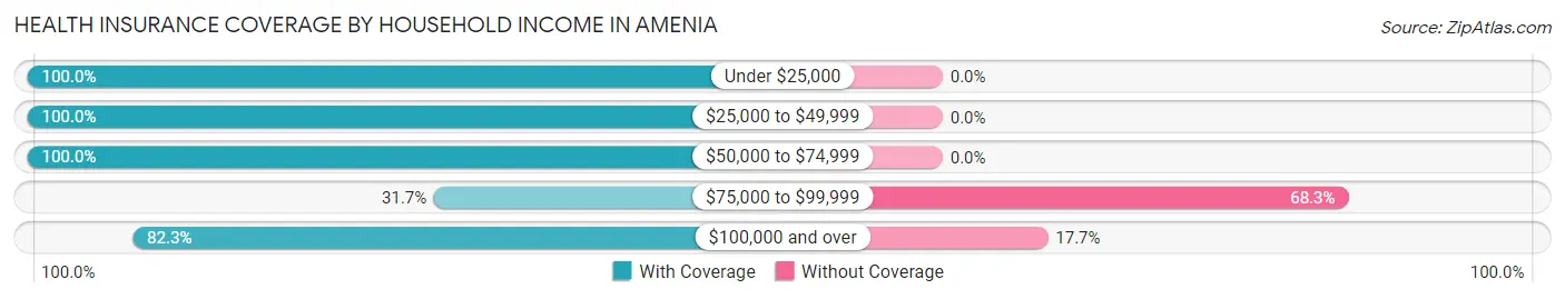 Health Insurance Coverage by Household Income in Amenia