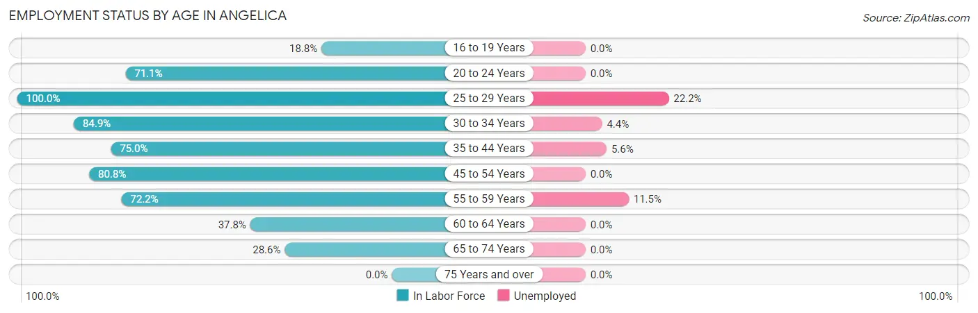 Employment Status by Age in Angelica