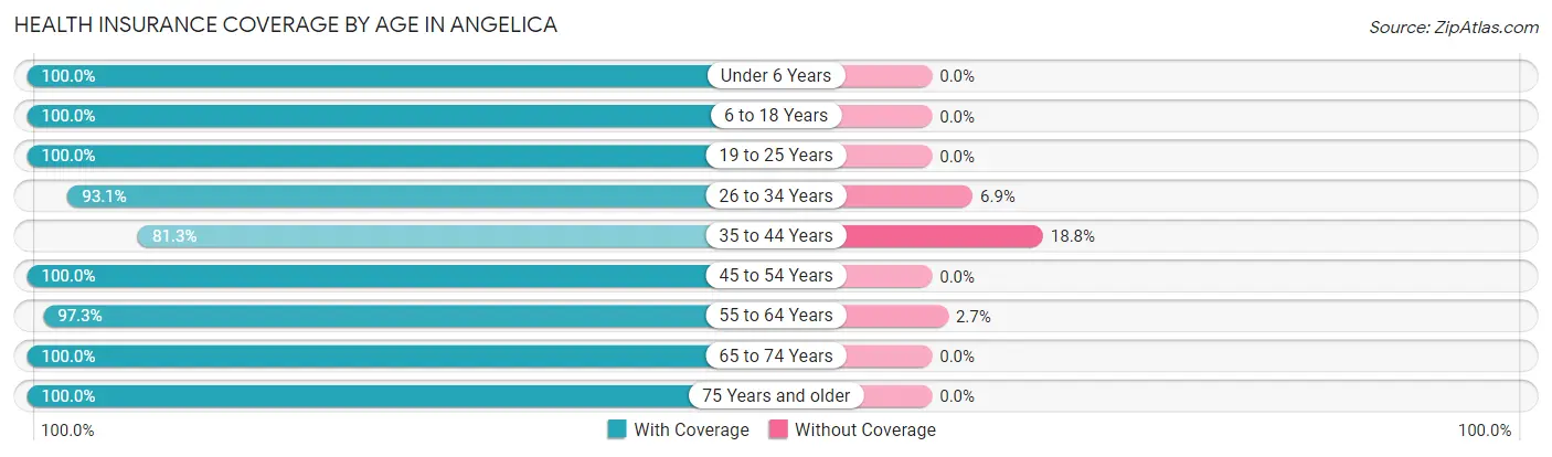 Health Insurance Coverage by Age in Angelica