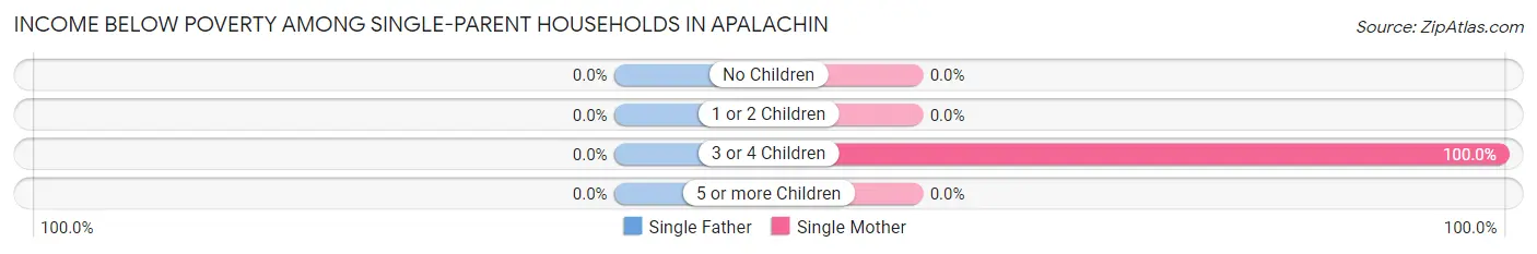 Income Below Poverty Among Single-Parent Households in Apalachin