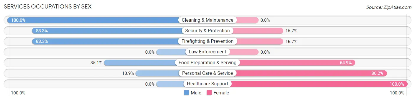 Services Occupations by Sex in Apalachin