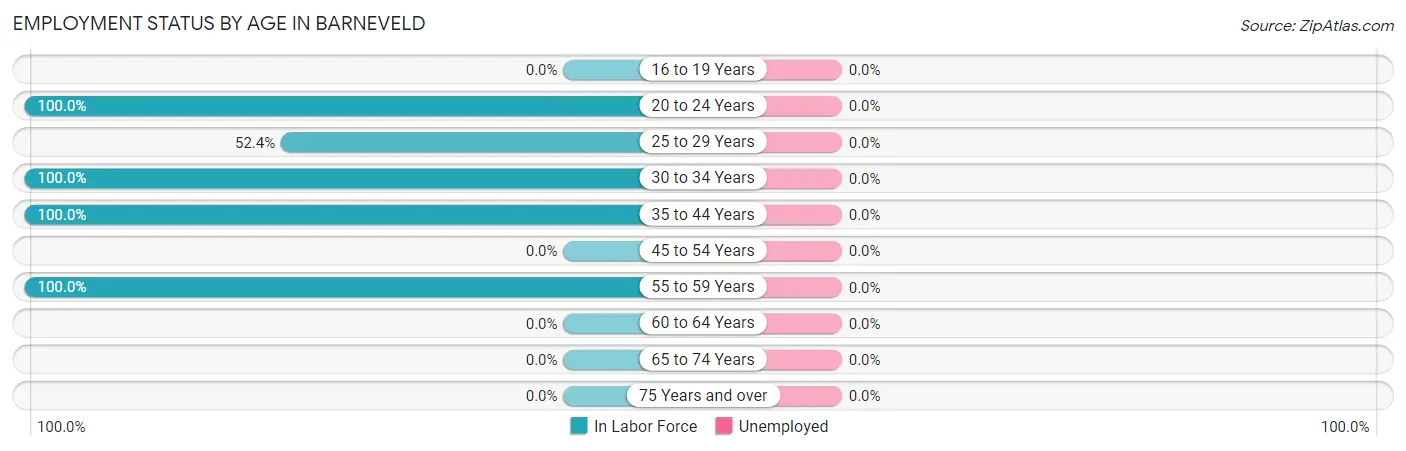 Employment Status by Age in Barneveld