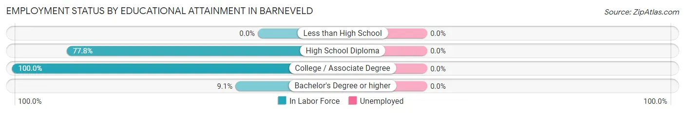 Employment Status by Educational Attainment in Barneveld
