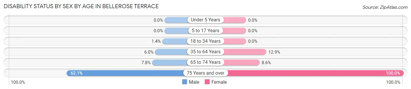 Disability Status by Sex by Age in Bellerose Terrace