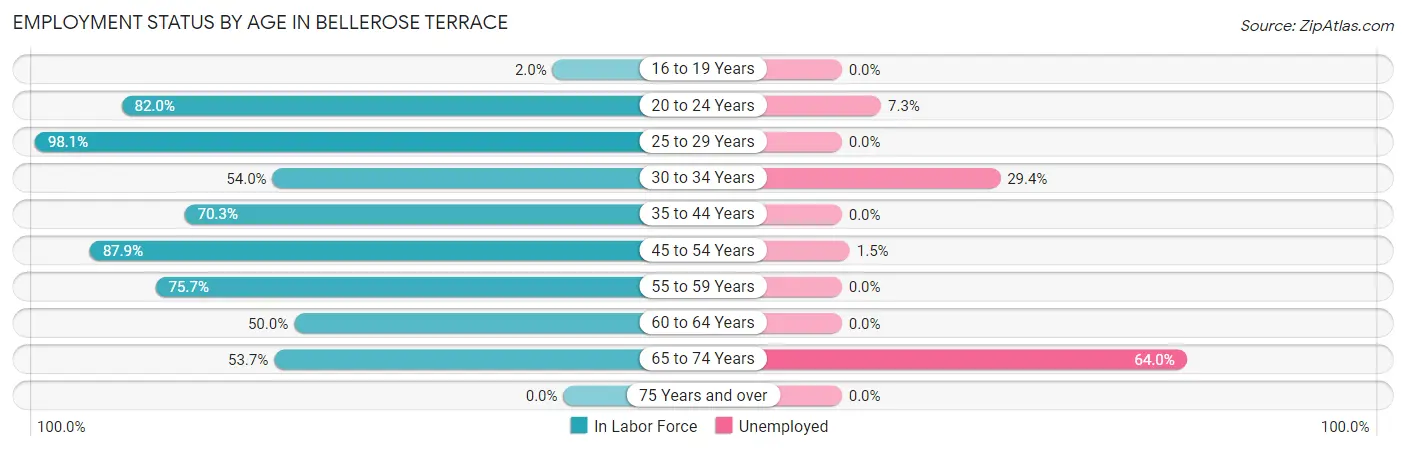 Employment Status by Age in Bellerose Terrace