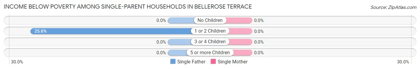 Income Below Poverty Among Single-Parent Households in Bellerose Terrace