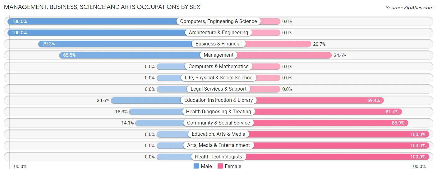 Management, Business, Science and Arts Occupations by Sex in Bellerose Terrace