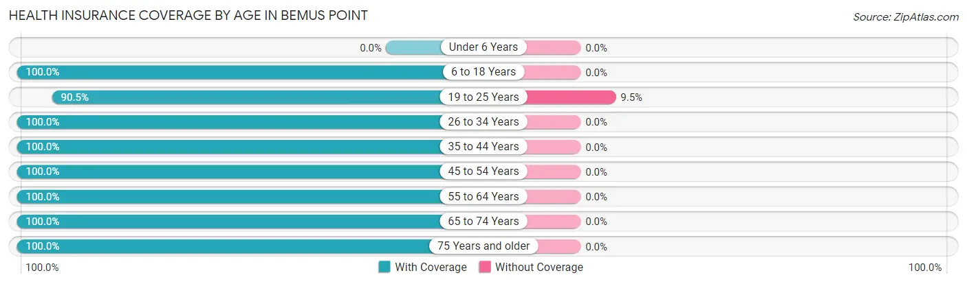Health Insurance Coverage by Age in Bemus Point
