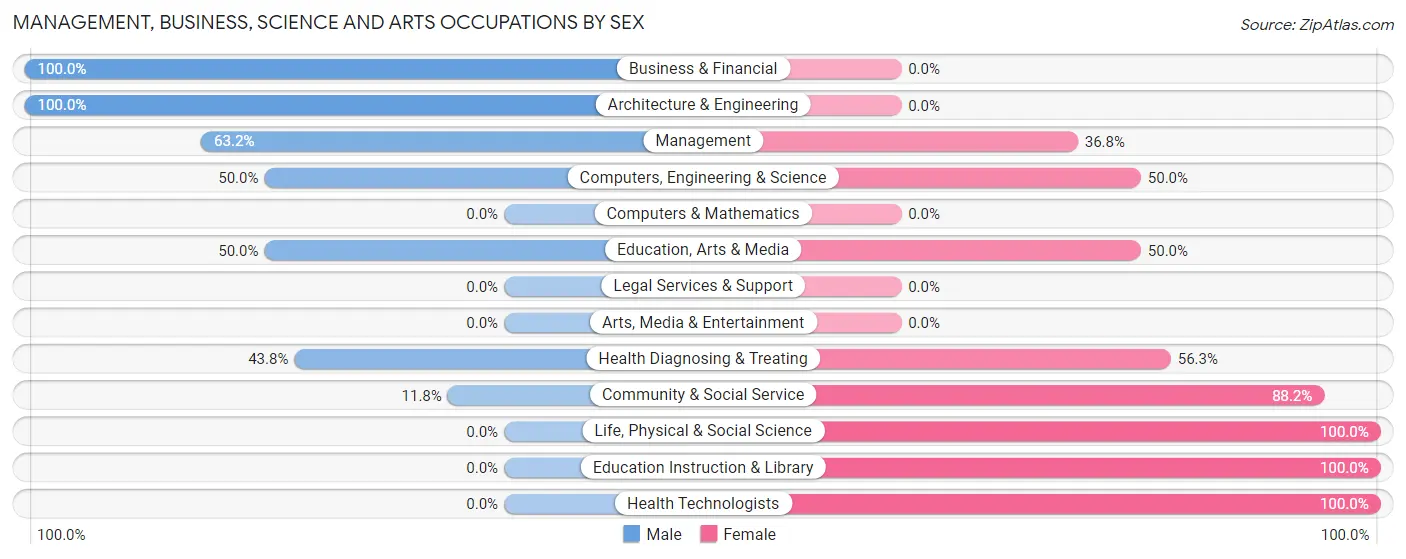 Management, Business, Science and Arts Occupations by Sex in Bemus Point