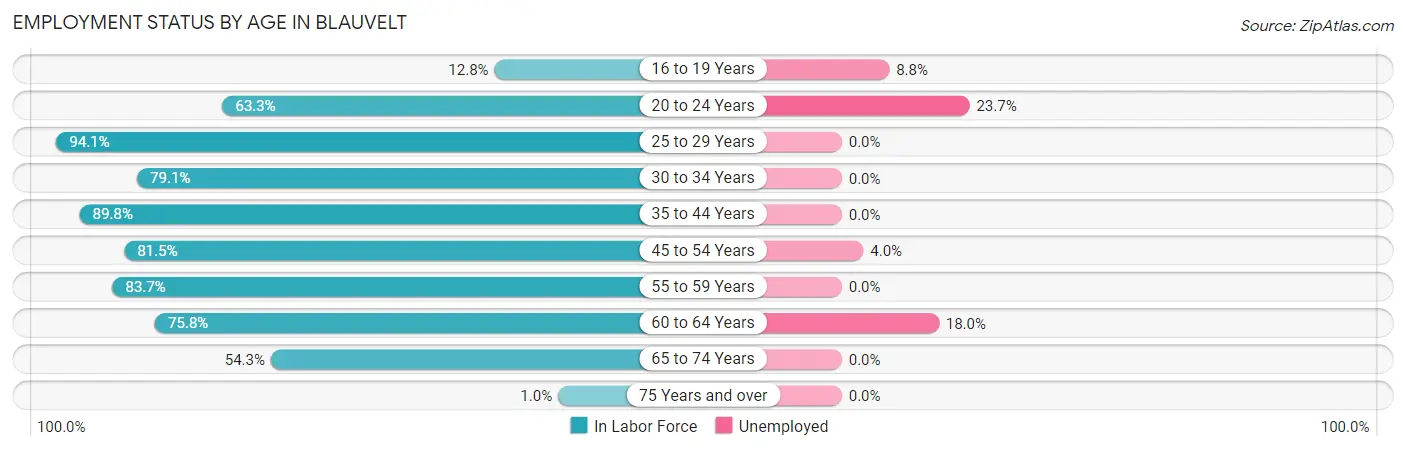 Employment Status by Age in Blauvelt