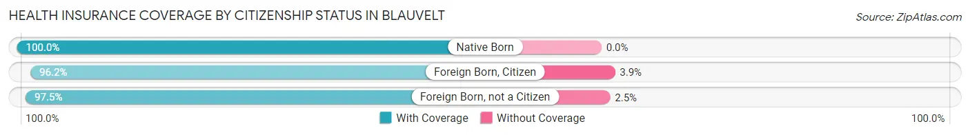 Health Insurance Coverage by Citizenship Status in Blauvelt