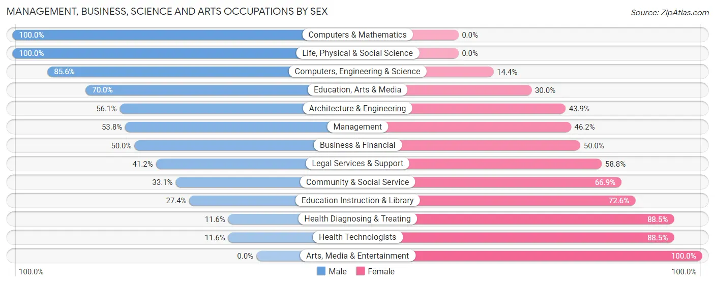Management, Business, Science and Arts Occupations by Sex in Blauvelt