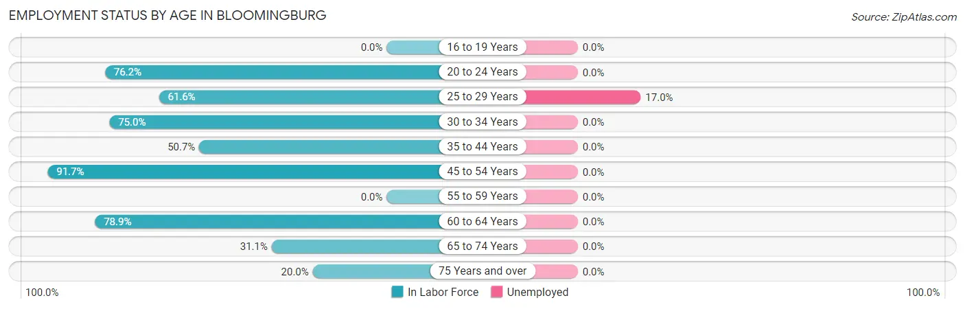 Employment Status by Age in Bloomingburg