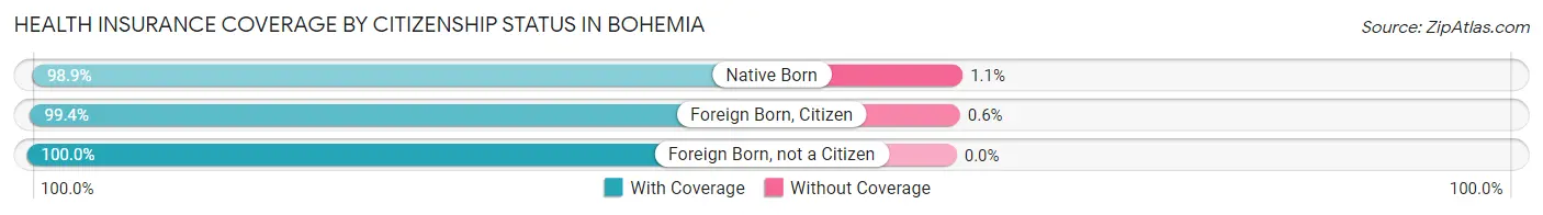 Health Insurance Coverage by Citizenship Status in Bohemia