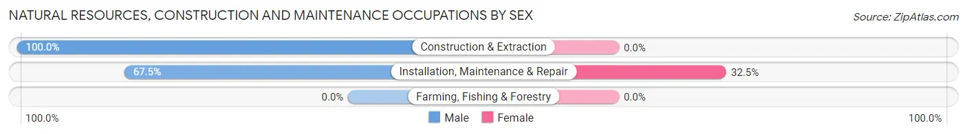 Natural Resources, Construction and Maintenance Occupations by Sex in Bohemia