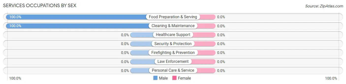 Services Occupations by Sex in Bolton Landing