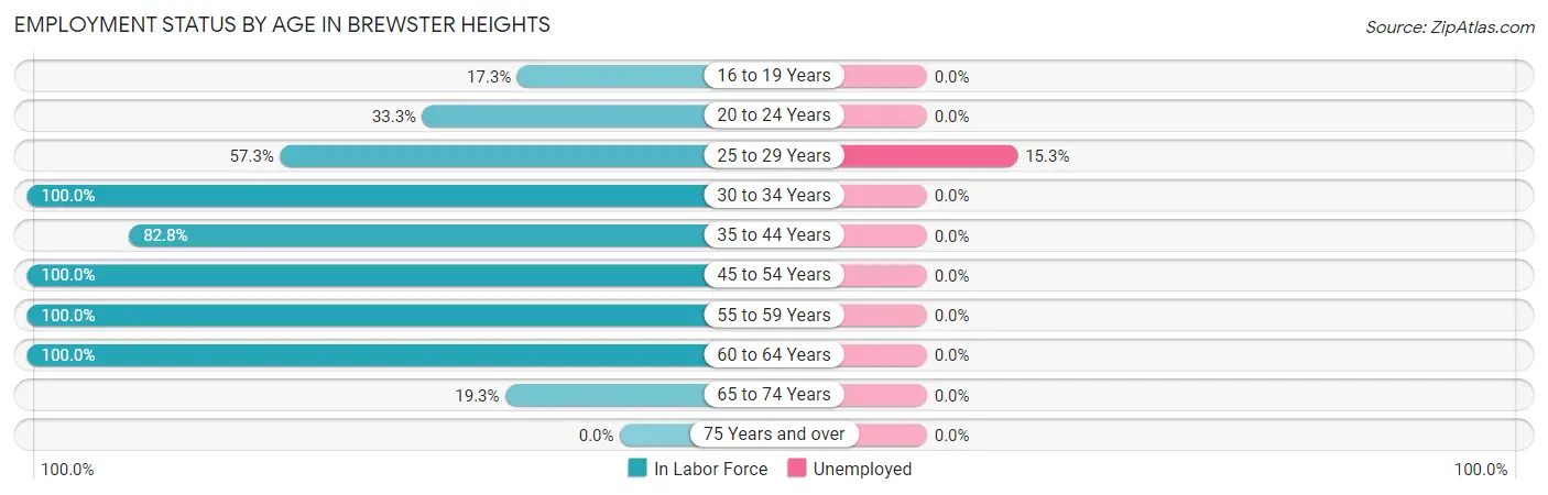 Employment Status by Age in Brewster Heights