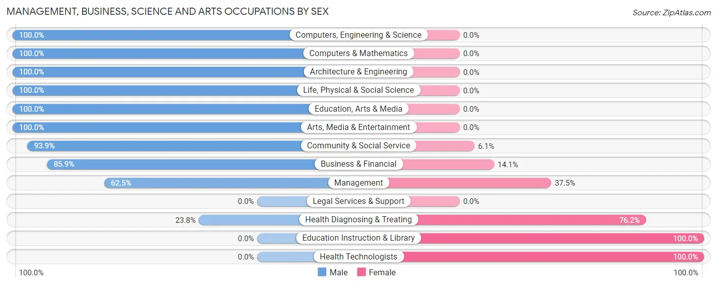 Management, Business, Science and Arts Occupations by Sex in Brewster
