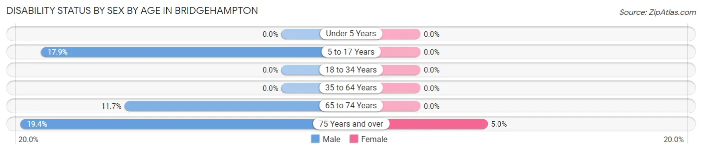 Disability Status by Sex by Age in Bridgehampton