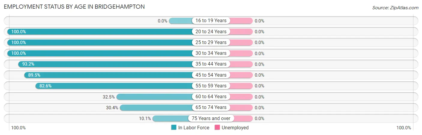 Employment Status by Age in Bridgehampton