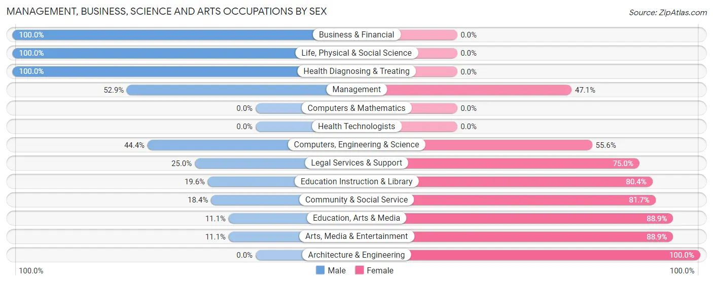 Management, Business, Science and Arts Occupations by Sex in Bridgehampton