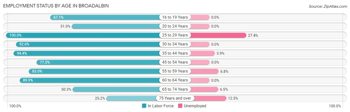 Employment Status by Age in Broadalbin