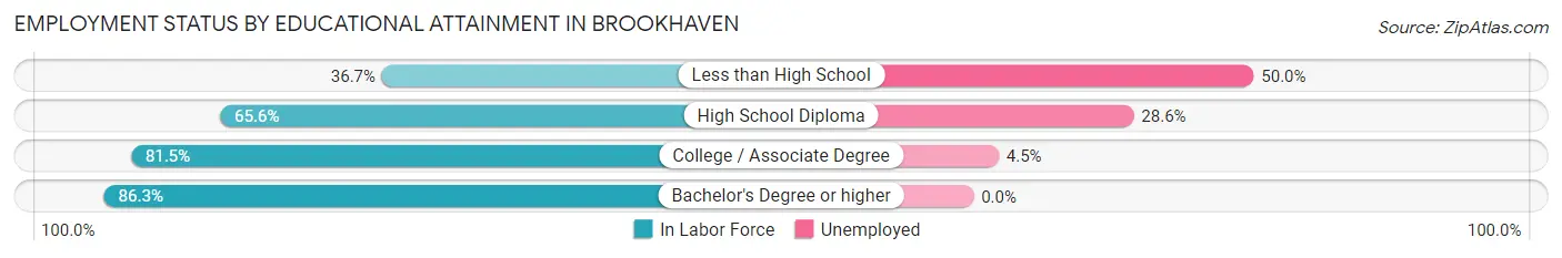 Employment Status by Educational Attainment in Brookhaven