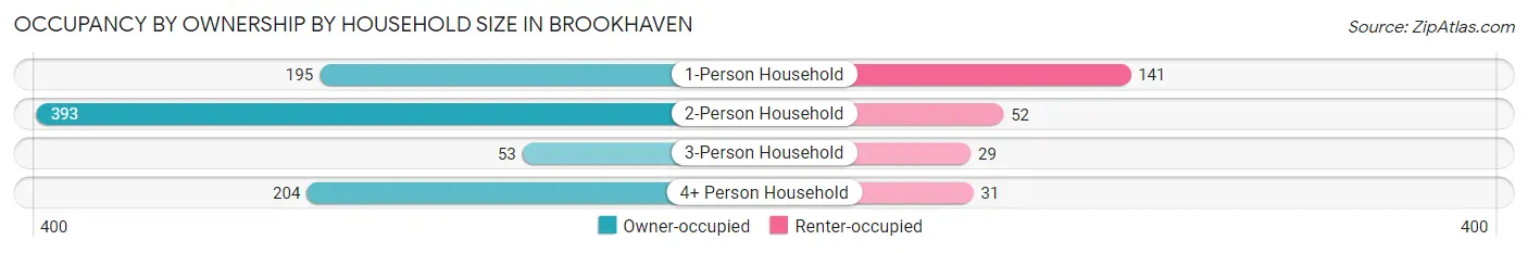 Occupancy by Ownership by Household Size in Brookhaven