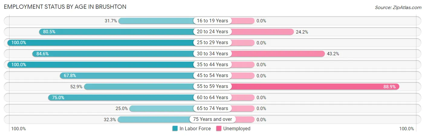 Employment Status by Age in Brushton