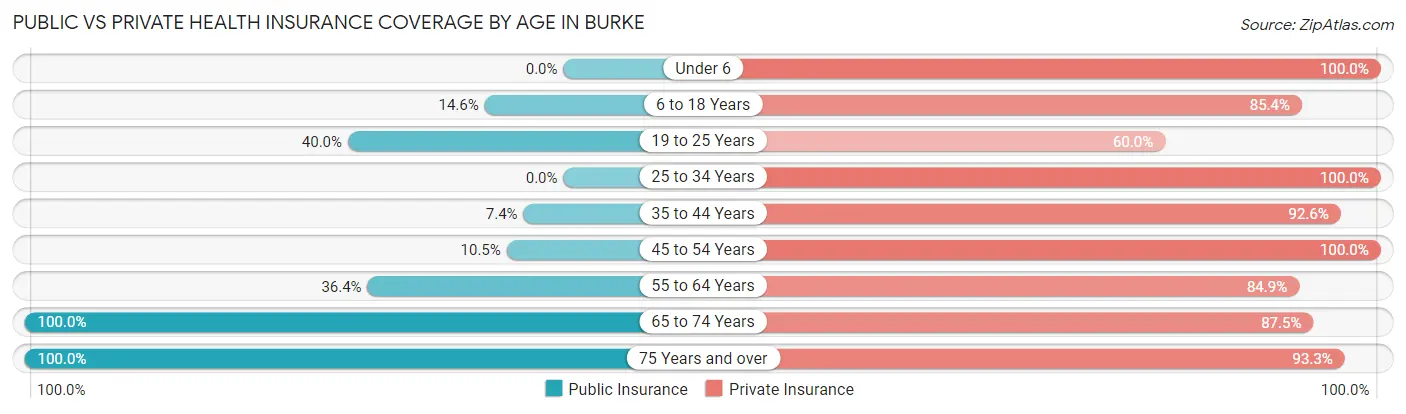 Public vs Private Health Insurance Coverage by Age in Burke