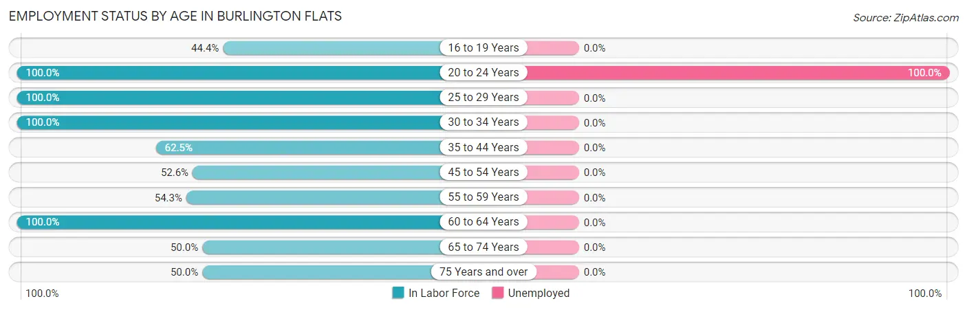 Employment Status by Age in Burlington Flats