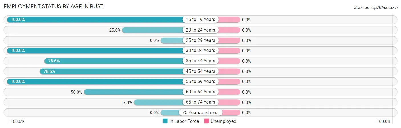 Employment Status by Age in Busti