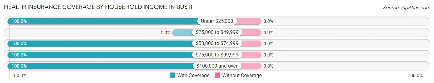 Health Insurance Coverage by Household Income in Busti