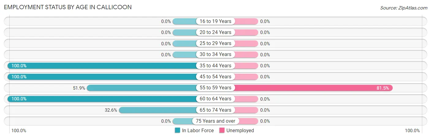 Employment Status by Age in Callicoon