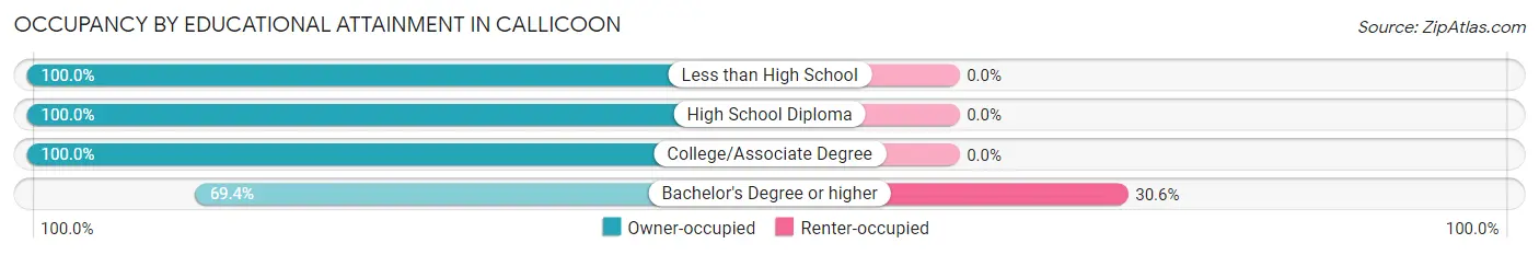 Occupancy by Educational Attainment in Callicoon
