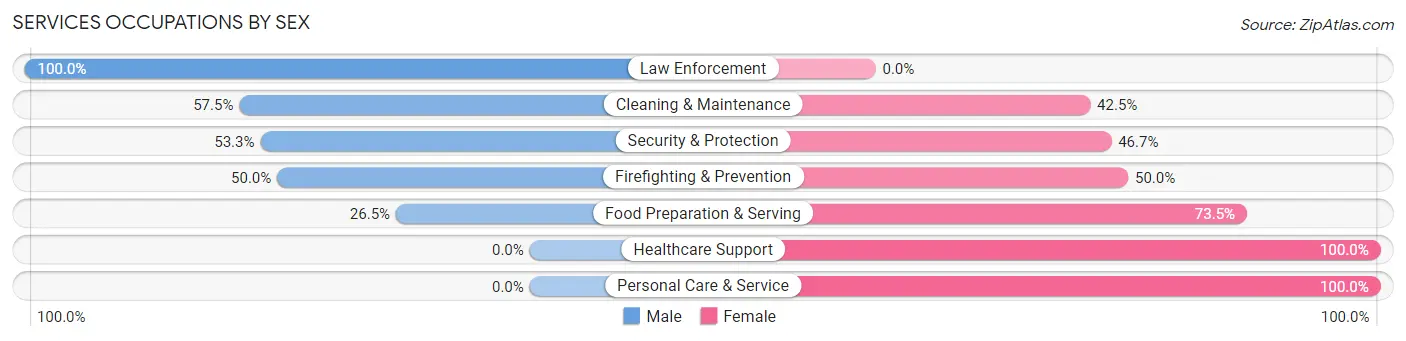Services Occupations by Sex in Camillus