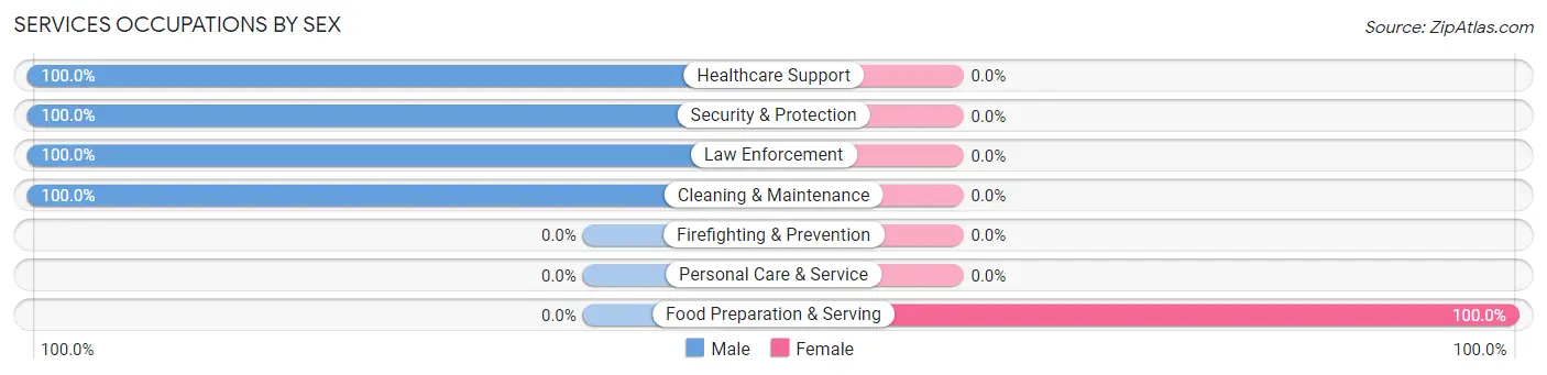 Services Occupations by Sex in Cape Vincent