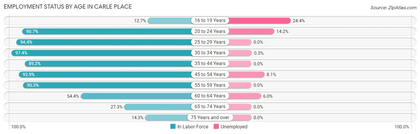 Employment Status by Age in Carle Place