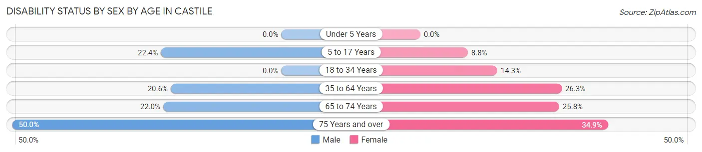 Disability Status by Sex by Age in Castile