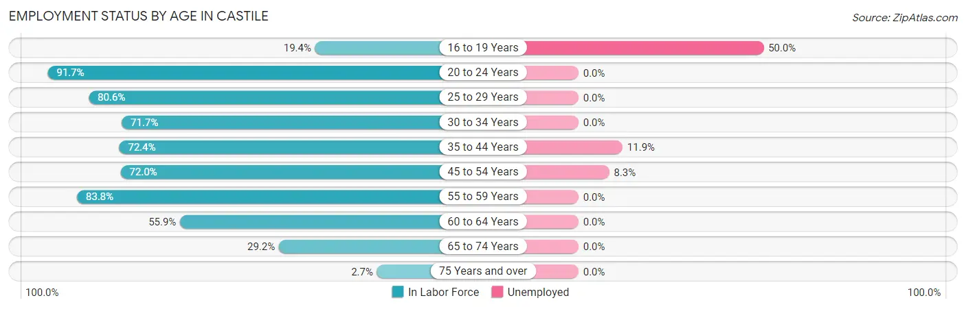 Employment Status by Age in Castile