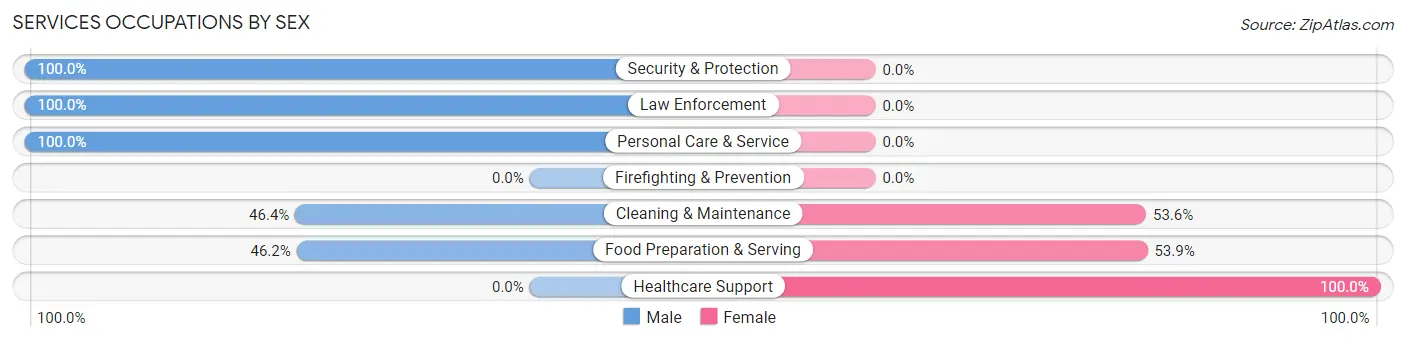 Services Occupations by Sex in Castile